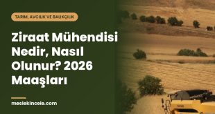 Ziraat Mühendisi Nedir, Nasıl Olunur? 2026 Maaşları