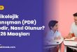 Psikolojik Danışman (PDR) Nedir, Nasıl Olunur? 2026 Maaşları