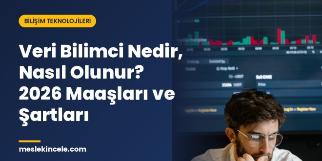 Veri Bilimci Nedir, Nasıl Olunur? 2026 Maaşları ve Şartları
